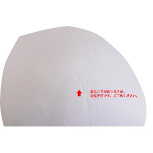 ブラパッド1ペア【ホワイト】ブラインサートカッ...の詳細画像5