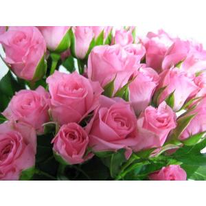 鮮度抜群！＊ピンクアレンジミックス＊ 30本 長さ30センチ ＊バラ