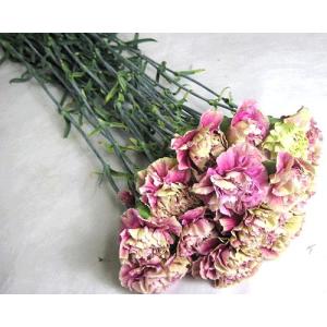 赤バラ（生花・切り花）赤薔薇（赤絞り） 40本 長さ30センチ 産地直送