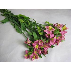 アルストロメリア 花束 切花 の商品一覧 生花 花 ガーデニング 通販 Yahoo ショッピング