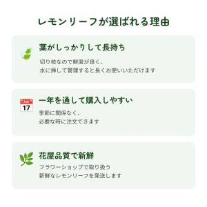 レモンリーフ 1束 切り枝 葉物 ハモノ ナナ...の詳細画像2