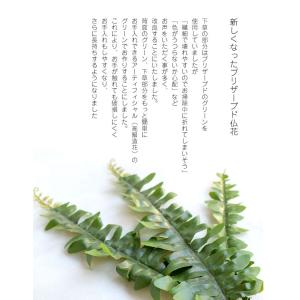 お盆 お供え プリザーブドフラワー プリザ 供...の詳細画像5