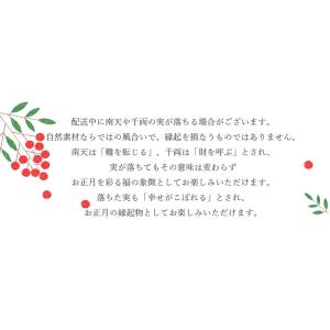 玄関 花 ドライフラワー リース スワッグ し...の詳細画像4