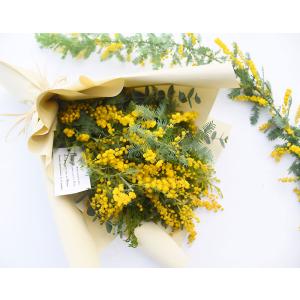 生花からドライを楽しむミモザスワッグ ミモザ・...の詳細画像1