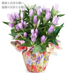 敬老の日 2026 プレゼント 花 りんどう ...の詳細画像1