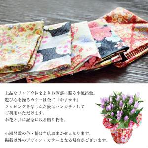 敬老の日 2026 プレゼント 花 りんどう ...の詳細画像3
