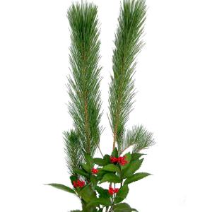 お正月の花 おすすめ 松と千両のセット 迎春