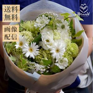 生花 スターチス HBスターチス ブルファン 5本 切花 切り花 生け花