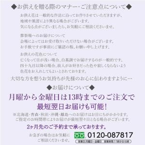 お供え 母の日お供え 命日 フラワーギフト 花 送料無料 法事 命日 仏前 法要 春 彼岸 仏前 仏花 送料無料 Oso Taba 5000 プリティ マーメイド