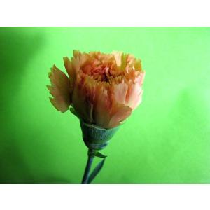 カーネーション 切り花の商品一覧 通販 Yahoo ショッピング