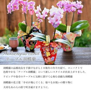 誕生日 ギフト プレゼント お母さん 小風呂敷...の詳細画像1