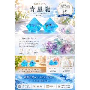 【当店限定】龍神のすず〓 青星龍 盛り塩 フロ...の詳細画像1