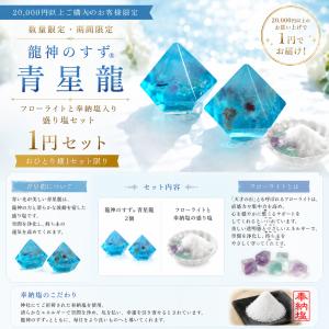 【当店限定】龍神のすず〓 青星龍 盛り塩 フロ...の詳細画像3