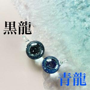 奇跡の 盛り塩 龍神のすず 黒龍 青龍 トンボ...の詳細画像1