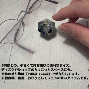 龍神のすず 黒龍|玄関・トイレの盛り塩に◎ 浄...の詳細画像3