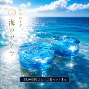 【25,000円以上購入特典】海のカケラ 龍神のすず〓 2個セット 1円 盛り塩 クラック水晶 奉納塩パウダー 数量限定 オルゴナイト