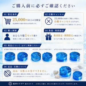 【25,000円以上購入特典】海のカケラ 龍神...の詳細画像2