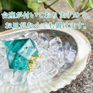 奇跡の 盛り塩 緑龍 龍神のすず 交換不要 セ...の詳細画像1