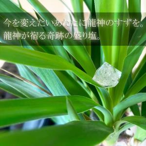 龍神のすず〓 《anan掲載!おはなもあな限定...の詳細画像2