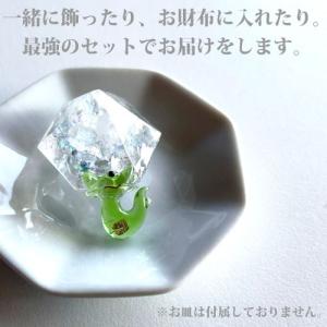 龍神のすず〓 《anan掲載!おはなもあな限定...の詳細画像2