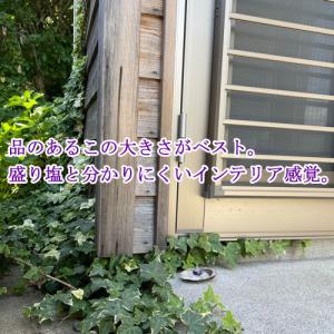 龍神のすず〓 《anan掲載!おはなもあな限定...の詳細画像2