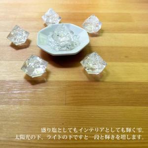 龍神のすず〓 《anan掲載!おはなもあな限定...の詳細画像5