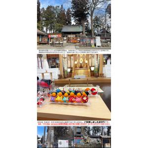 おはなもあな さるぼぼ マタニティ 子宝 祈願...の詳細画像5