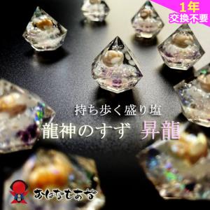 盛り塩 奇跡の 龍神のすず 運龍 風神 雷神 1個 ヒマラヤ 水晶 セット