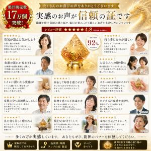 龍神のすず〓 《anan掲載!おはなもあな限定...の詳細画像5