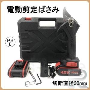 進化版 プロフェッショナルコードレス電動剪定ばさみ、枝切り剪定ばさみ、高速充電切断直径30mm電池2個付き幅広い用途切断機