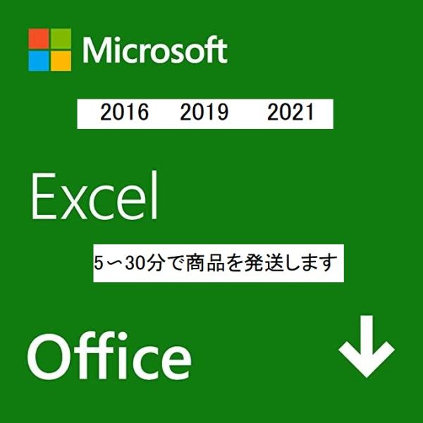 Microsoft Office Excel 2016/2019/2021 Professional...