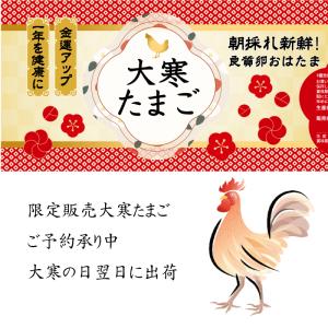 【限定販売】【開運】大寒たまご30個（10個入×3パック）【大寒の日産まれのおはたまを大寒の翌日に発送いたします】