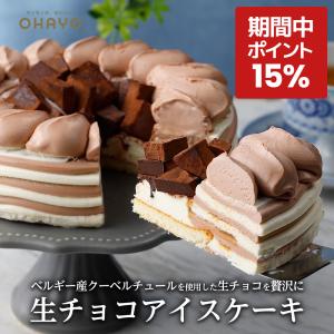 フォーデイズ スパーク ファイア パワーエナジー アミノフォース 24本
