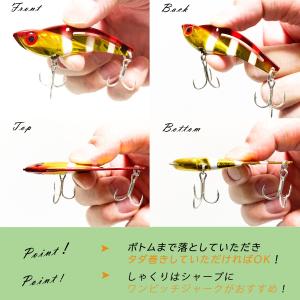 メタルバイブレーション 10g ルアー セット...の詳細画像2