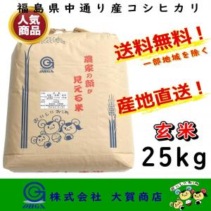 新米 7年産 お米 米 コシヒカリ 玄米 福島県産 25kg 安い 美味い 送料無料 福島県中通り産コシヒカリ25kg玄米