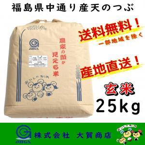 5年産 お米 米 玄米 天のつぶ ブランド米 25kg 安い 美味い 送料無料 福島県中通り産天のつぶ25kg 玄米