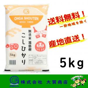 5年産 お米 米 無洗米 コシヒカリ 5kg 福島県産 白米 送料無料 福島県中通り産コシヒカリ5kg 無洗米