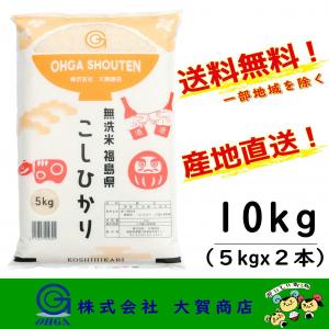 5年産 お米 米 無洗米 コシヒカリ 小分け 10kg 福島県産 白米 送料無料 福島県中通り産コシヒカリ5kgx2本 無洗米