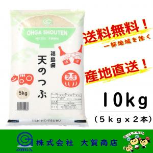 5年産 お米 米 天のつぶ ブランド米 10kg 小分け 白米 安い 美味い 送料無料 福島県中通り産天のつぶ10kg｜大賀商店