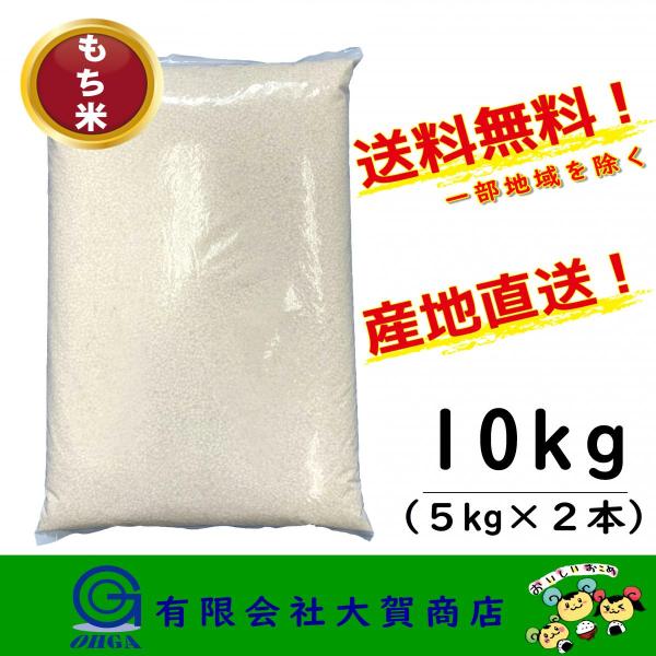 7年産 米 お米 こがねもち 白米 小分け 10kg もち米 精米 送料無料 もち米10kg
