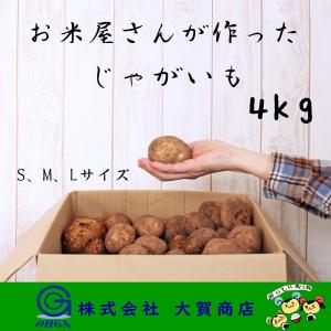 じゃがいも 4kg 新じゃが とうや 送料無料 福島県産 芋 馬鈴薯 食品