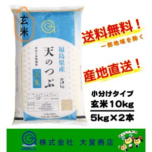 玄米 7年産 お米 米 天のつぶ ブランド米 10kg 小分け 安い 美味い 送料無料 福島県中通り産天のつぶ10kg玄米