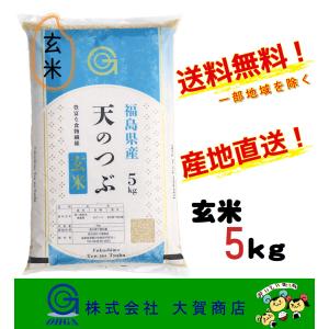 玄米 7年産 お米 米 天のつぶ ブランド米 5kg 安い 美味い 送料無料 福島県中通り産天のつぶ5kg 玄米