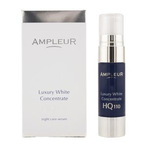 Amway（アムウェイ） アーティストリー インテンシブ‐プロ 14ナイツ