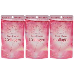 FANCL（ファンケル） ビューティライズ ドリンク 10日分 美容ドリンク