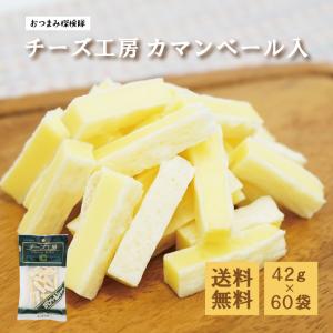 珍味 チーズ工房 カマンベール入 42g×60袋 送料無料 酒のつまみ おつまみ お菓子 おかし チーズ ちーず