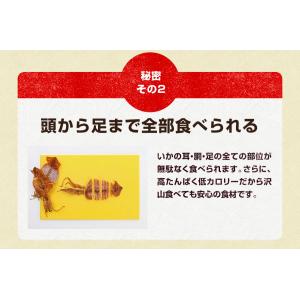 爆買 珍味 直火焼するめ 120g チャック付...の詳細画像4