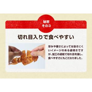 爆買 珍味 直火焼するめ 120g チャック付...の詳細画像5