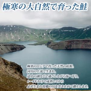 天然 紅鮭 寒風干し x 2枚入 フィレ ロシ...の詳細画像1