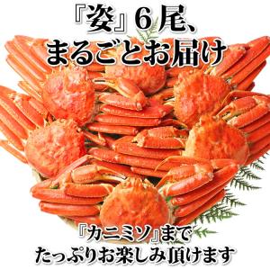 ズワイガニ 姿 3kg (6尾入) ずわいがに...の詳細画像2